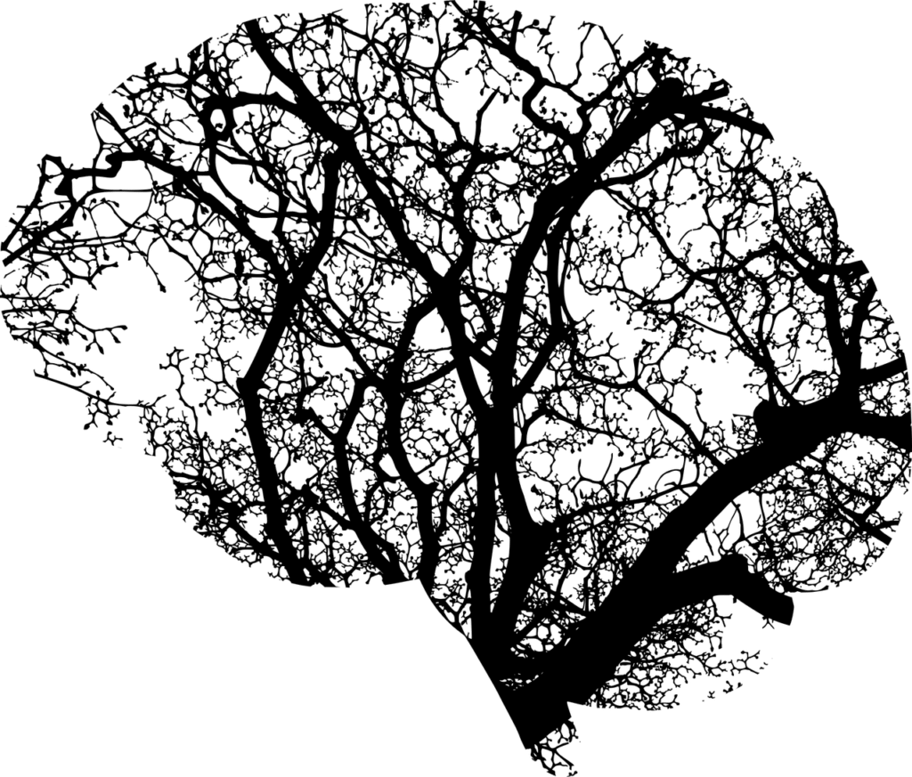 brain, anatomy, abstract, art, branches, computation, compute, contemplate, cranium, ecology, environment, green, head, human, knowledge, mental, health, people, nature, person, profile, recycle, think, thought, tree, understand, unknown, artificial intelligence, cut out