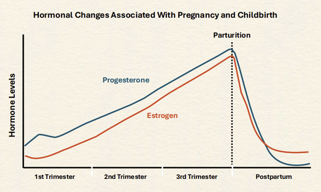 Postpartum Depression image