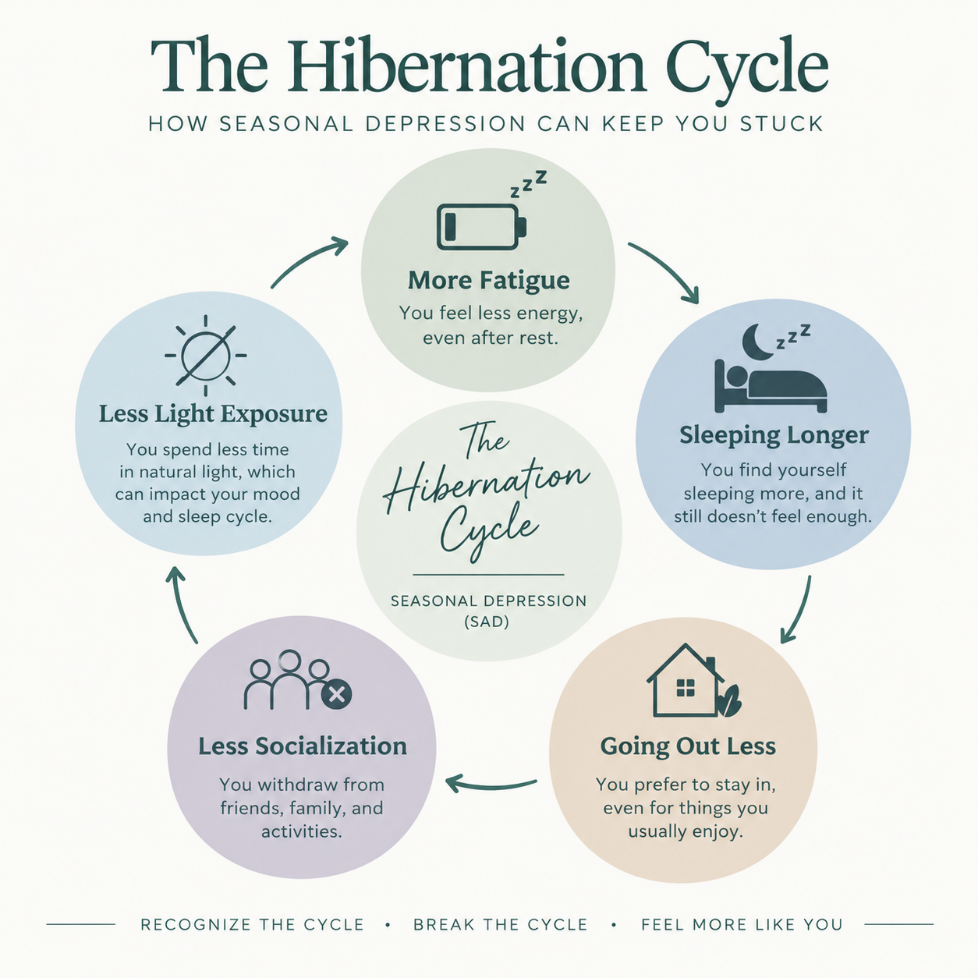 Need a Little Hygge This Winter? hibernation cycle